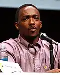 Anthony Mackie (2013)