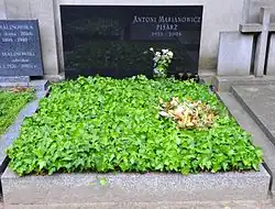 Mit Pflanzen bewachsenen Grabstein und Gedenktafel für Marianowicza