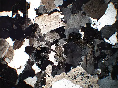 Dünnschliff eines rosafarbenen Aplitgangs in der Rotfazies bei Abjat-sur-Bandiat. Der Plagioklas ist hämatitisiert, der Biotit chloritisiert.