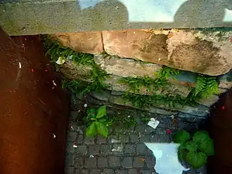 Karolingische Grundmauer vor dem Rathaus