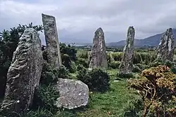 Der Steinkreis von Ardgroom