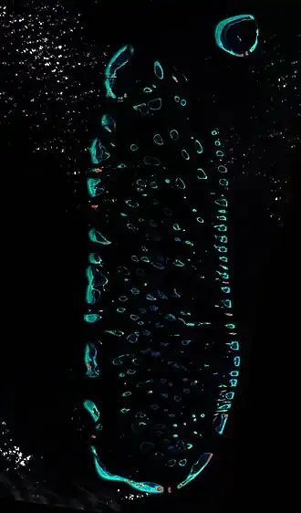 Satellitenbild des Ari-Atolls