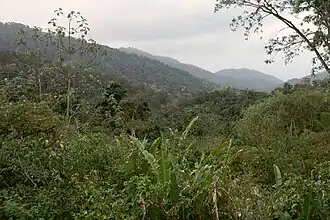 Die Northern Range, vom Asa Wright Nature Centre aus gesehen