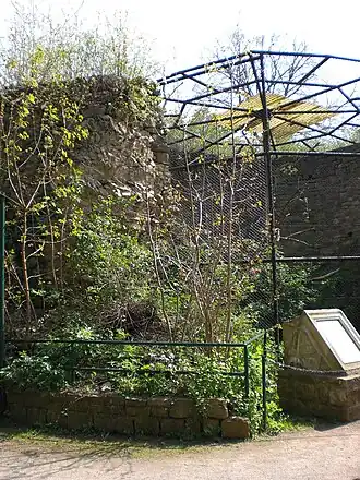 Reste der alten Burg