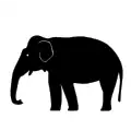 Elefant musab