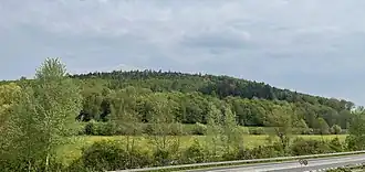 Aspenhainer Kopf von Süden