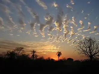 Landschaft bei Santa Ana de Chiquitos