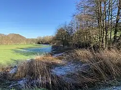 Aue der Lindarer Sülz bei Siebensiefen