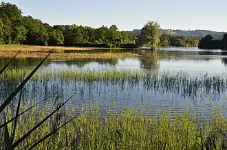 Naturschutzgebiet Thurauen