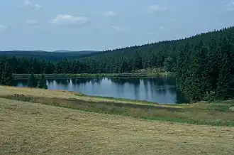 Der Auerhahnteich vom ehemaligen Gasthaus Auerhahn aus gesehen
