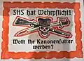„SHS hat Wehrpflicht! Wollt ihr Kanonenfutter werden?“