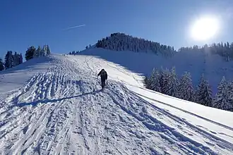 Aufstieg zur Tannschwärze