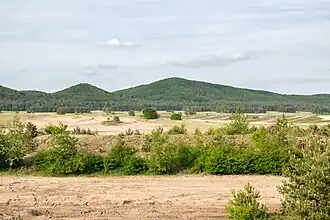 Hermannsberg (mittig) vom Aussichtspunkt am Augustdorfer Dünenfeld.