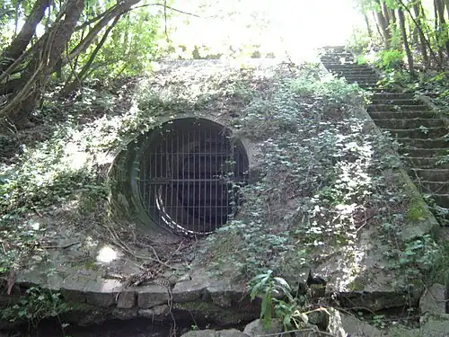 Auslauf des Klemmbachs am Rheindamm (vom „Wuhrloch“ her, August 2011)