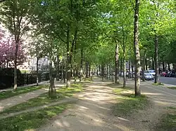 Die Alleestraße der Avenue Ingres