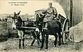 Esel im Doppeljoch, Aveyron, 1905