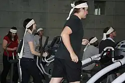 Kunstformat Awareness Muscle