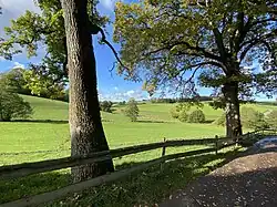 Alte Bäume säumen den Wanderweg durch den Ort
