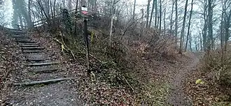 Aufgang zum Halsgraben, südlicher Teil der Burgstelle, Weg im Ringgraben