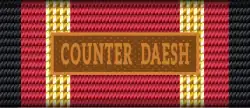 COUNTER DAESH