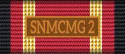 SNMCMG 2