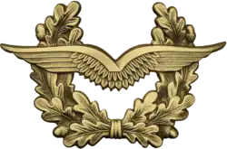 Streitkräfteabzeichen für Luftwaffenuniformträger der Dienstgradgruppen Unteroffiziere (außer Oberfähnriche) und Mannschaften