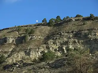 Kalbenstein mit Edelweiß