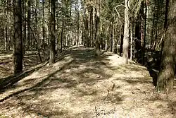 Landwehr im Ortsteil Schafwedel