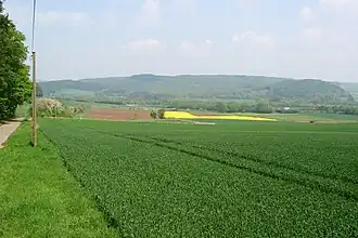 Blick von Süden auf den Escherberg mit den Ausläufern Lilienberg (links) und Quadlenberg (rechts)
