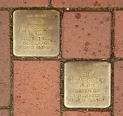 Stolpersteine für Frieda und Henny&nbsp;Hammerschlag