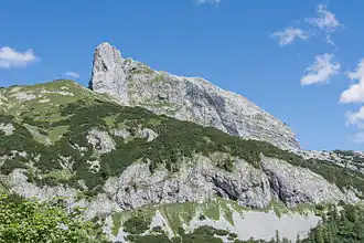 Sturzhahn von der Tauplitzalm