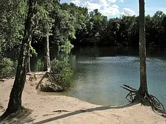 „Blaues Auge“ bei Bad Schmiedeberg