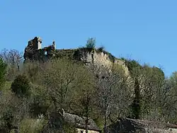 Burgruine