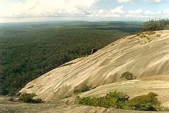 Blick von der Spitze des Bald Rocks