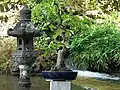 Bonsai im Wassergarten