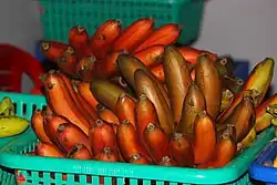 Rote Bananen (Hybride von Musa acuminata)