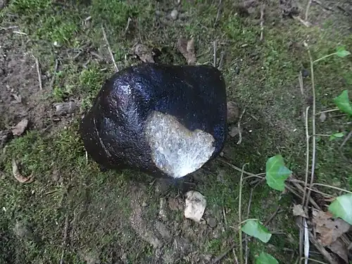 Weiterer Quarzkiesel vom Bandiat mit dunkelbrauner Patina.