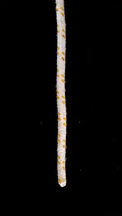 Unten ist das lose Ende, die lose Part und oben das feste Ende, die stehende Part.