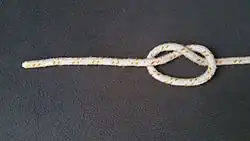 Zuerst bindet man einen Überhandknoten, indem das Ende um die eigene stehende Part gewunden wird.