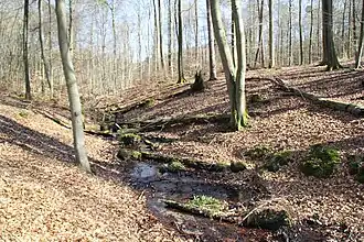 Südöstlicher Zulauf des Sees