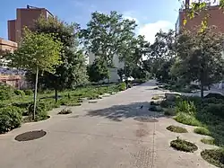 Straße mit kreisrunden Asphaltausschnitten verschiedener Durchmesser, die durch Bäumchen und Bewuchs verschiedener Höhe geprägt sind – mittig ist der Straßenbelag in Breite eines gerade Fahrstreifens erhalten geblieben