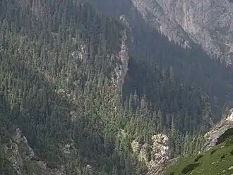 Blick in den Wąwozu Kraków