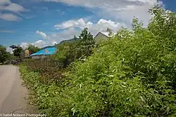 Am Reduto do Conselheiro Jacinto Cândido in Batugade