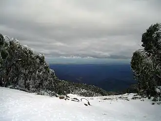 Blick vom Mount Baw Baw südlich ins Gippsland
