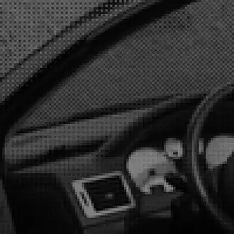 Sensorbild, in Schwarz-Weiß dargestellt (100 x 100&nbsp;Pixel)