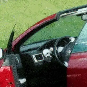 Größerer Ausschnitt, bikubisch hochskaliert (200 x 200&nbsp;Pixel)