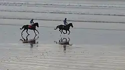 Traditionelles Weihnachts-Pferderennen am Strand von Ballyheigue