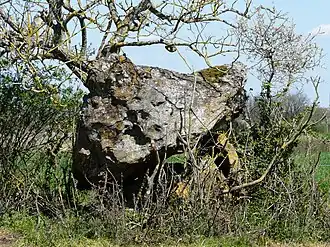 Dolmen von Peyre Nègre