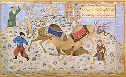 Bihzād: Kamelkampf, ca. 1530.