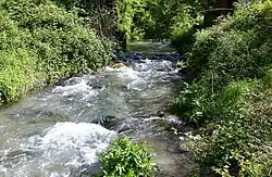 Der Nera bei Belforte, Gemeinde Preci